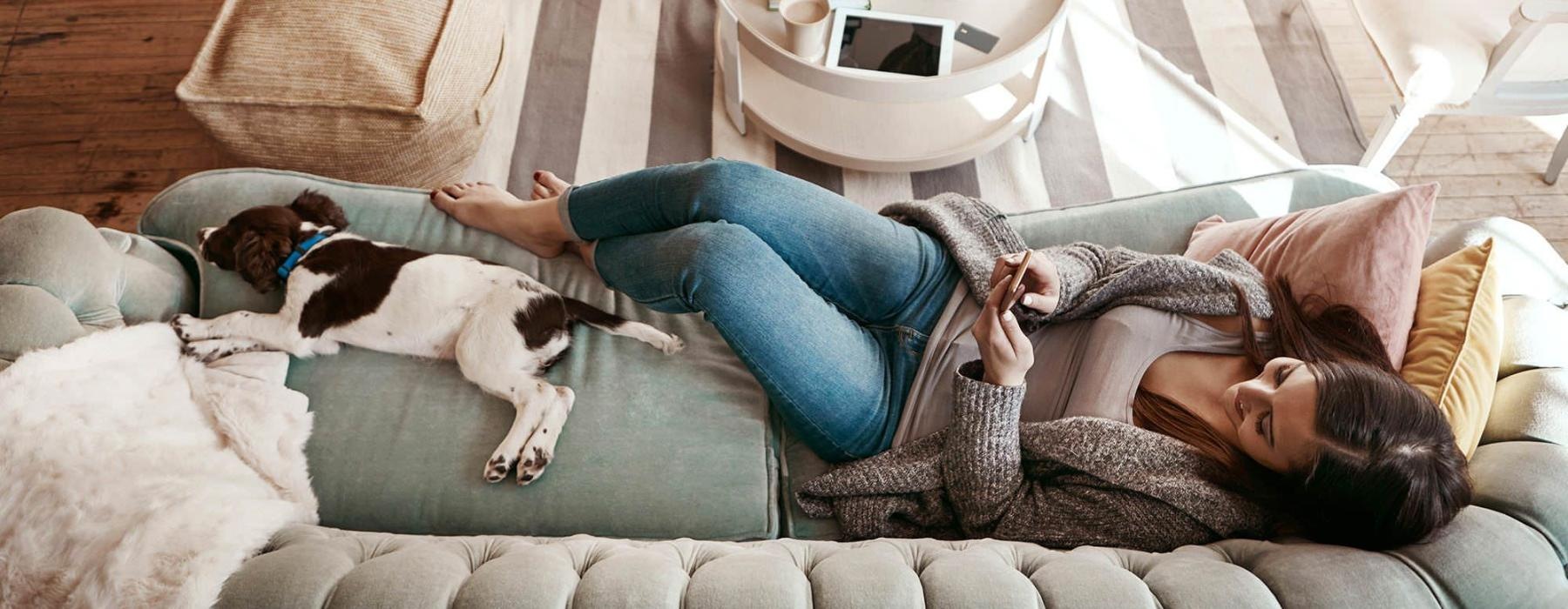 overhead view of  a woman texting as she lies on a couch with a dog at her feet